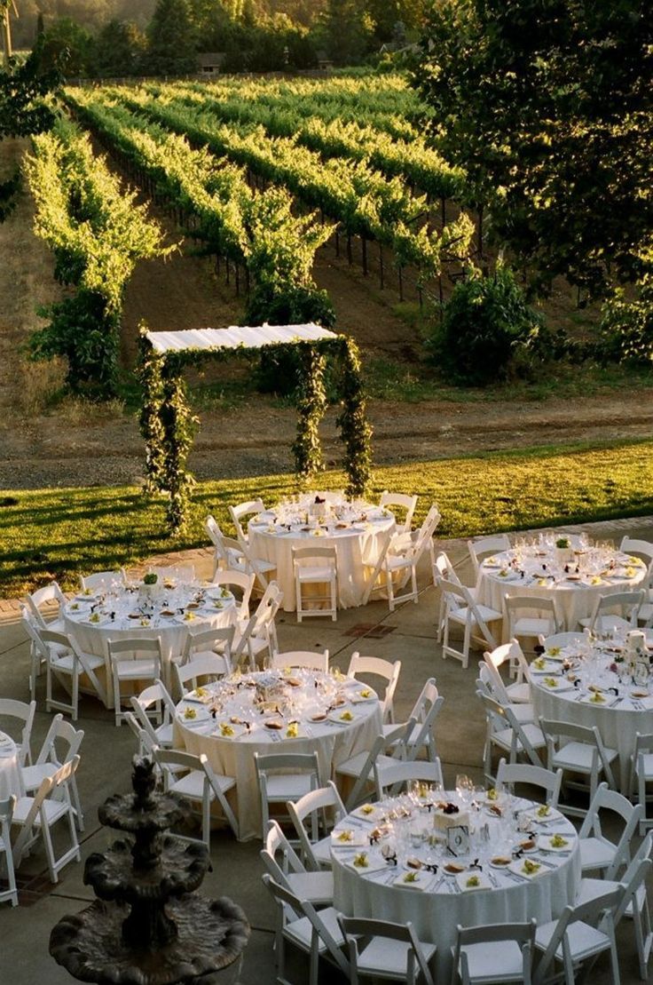 Vineyard Harvest Wedding